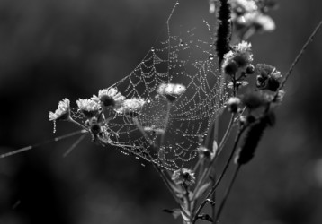 Similar image 13309870