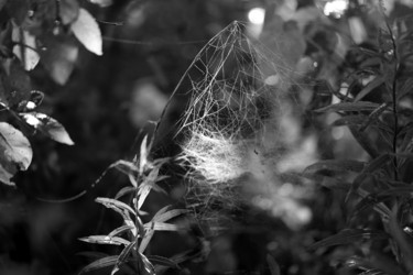 Similar image 13309873