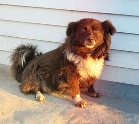 Similar image 13309874