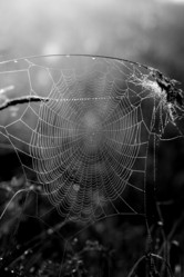 Similar image 13309877