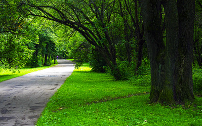 Similar image 13305511