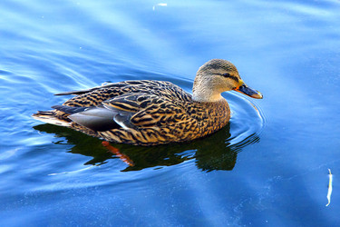 Similar image 13305513