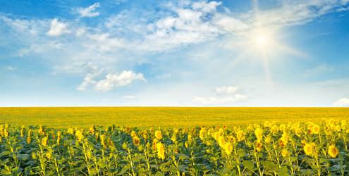 Similar image 13305929