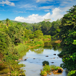 Similar image 13305931