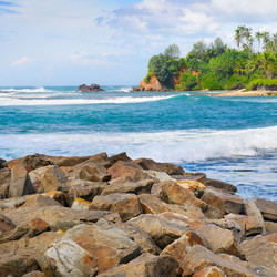 Similar image 13305937