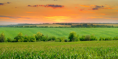 Similar image 13305962