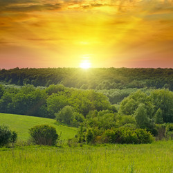 Similar image 13305973