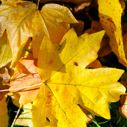 Similar image 13305981