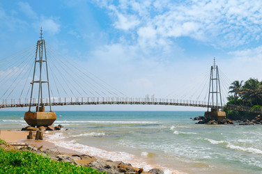 Similar image 13308240