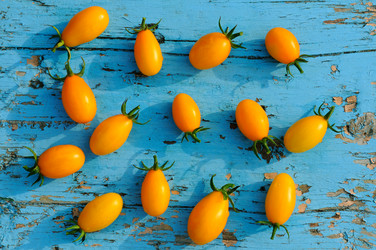 Similar image 13308275