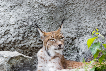 Similar image 13322733