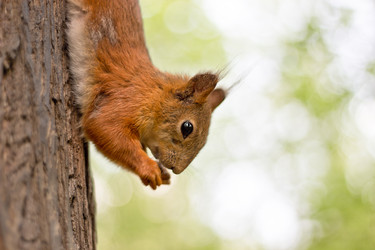 Similar image 13322734