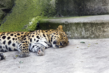 Similar image 13322736