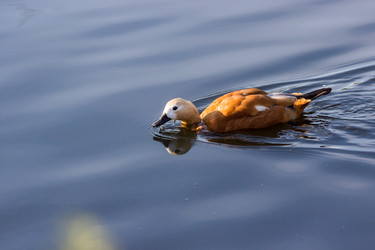 Similar image 13322737