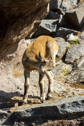 Similar image 13322750