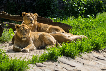 Similar image 13322751