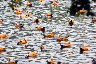 Similar image 13322753