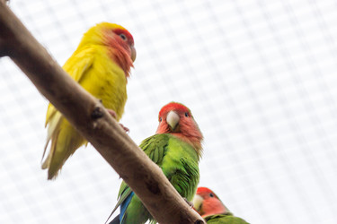 Similar image 13322754