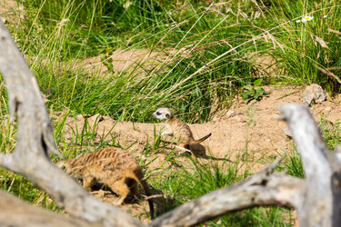 Similar image 13322756