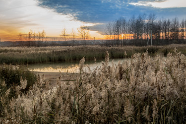 Similar image 13305652