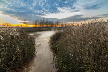 Similar image 13305653