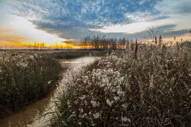 Similar image 13305655