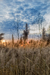 Similar image 13305660