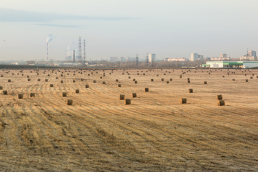 Similar image 13305674