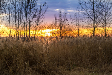 Similar image 13305675