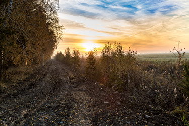 Similar image 13305677