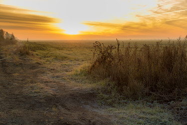 Similar image 13305678