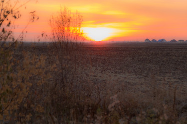 Similar image 13305696