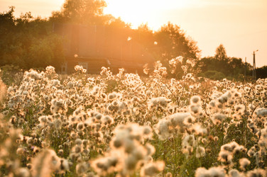 Similar image 13309164