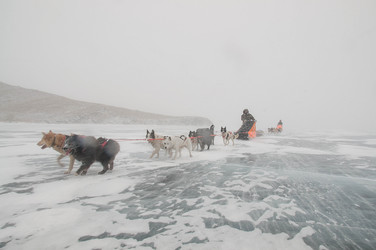 Similar image 13309165