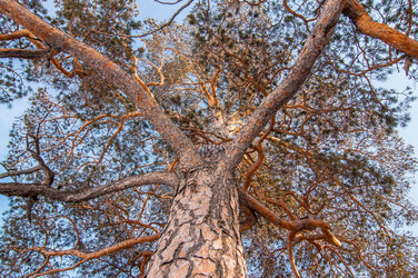 Similar image 13309169