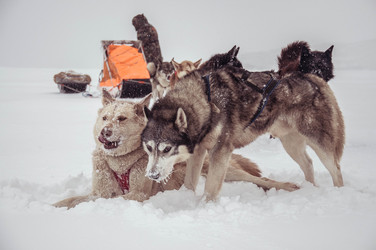 Similar image 13309219