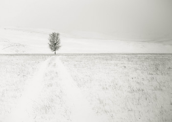 Similar image 13309222