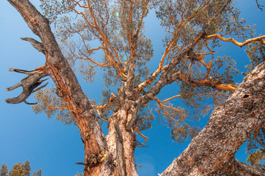 Similar image 13309223