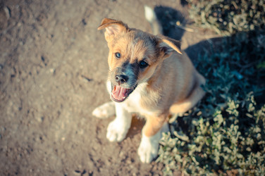 Similar image 13309225