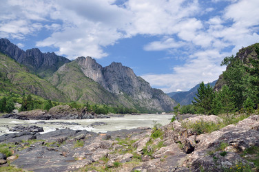 Similar image 13309244