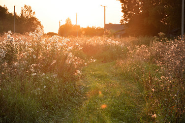 Similar image 13309248