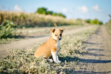 Similar image 13309231