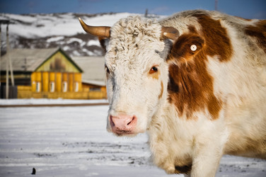 Similar image 13309233