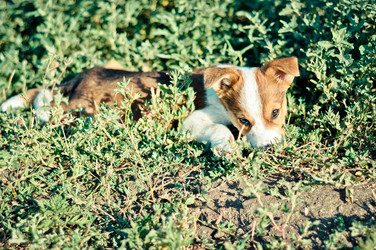 Similar image 13309236