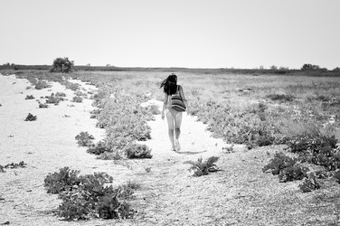 Similar image 13309242