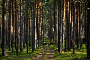 Similar image 13309245