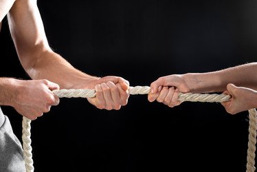 Similar image 13314944