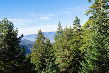 Similar image 13312465