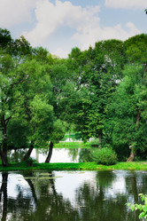 Similar image 13312472