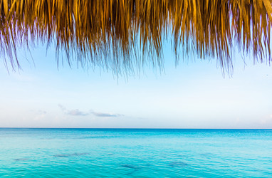 Similar image 13312522